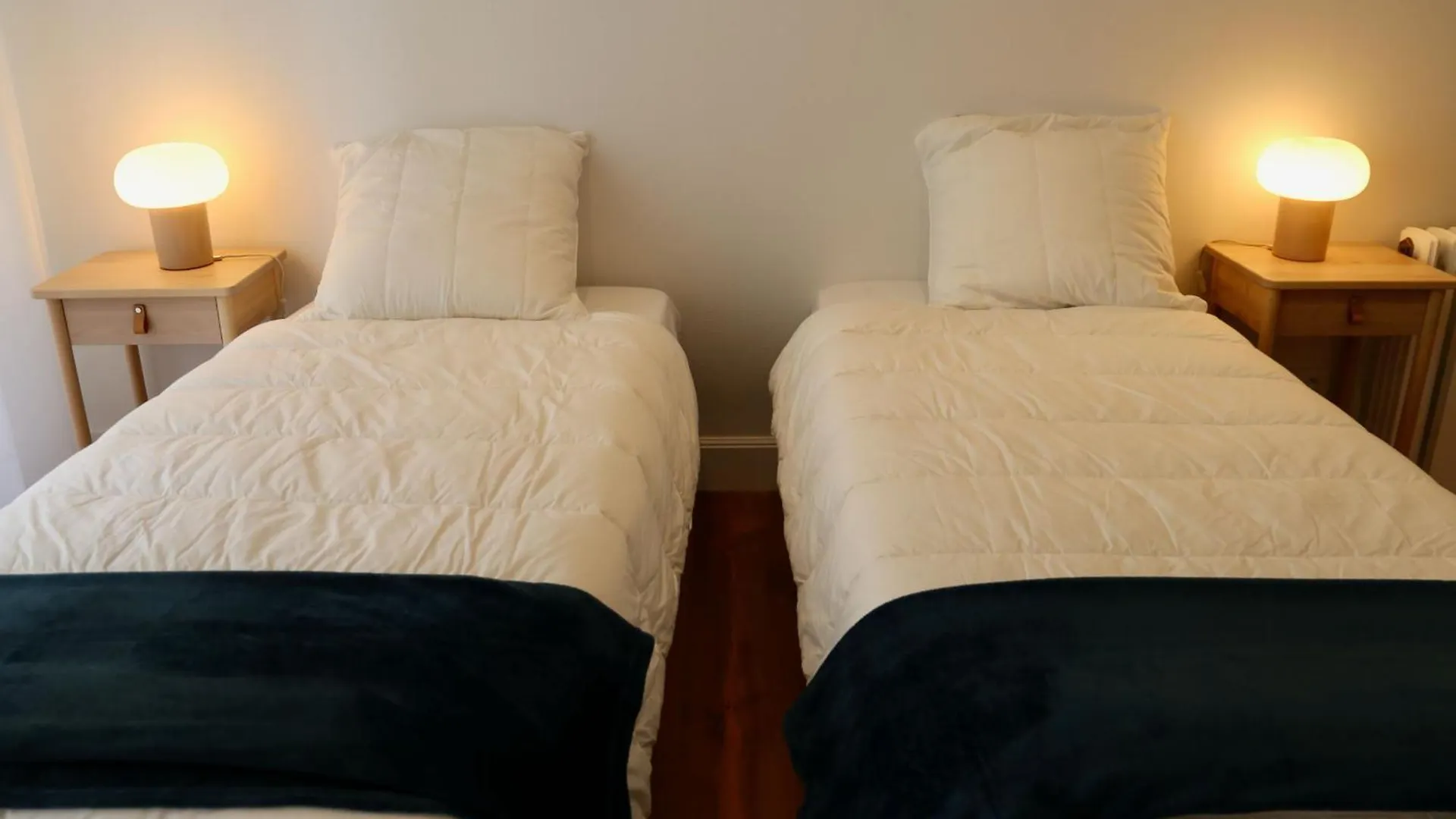 Appartement Spacieux Et Renove Au Coeur De Biarritz, A Deux Pas De La Plage Et Des Commerces - Fr-1-239-802
