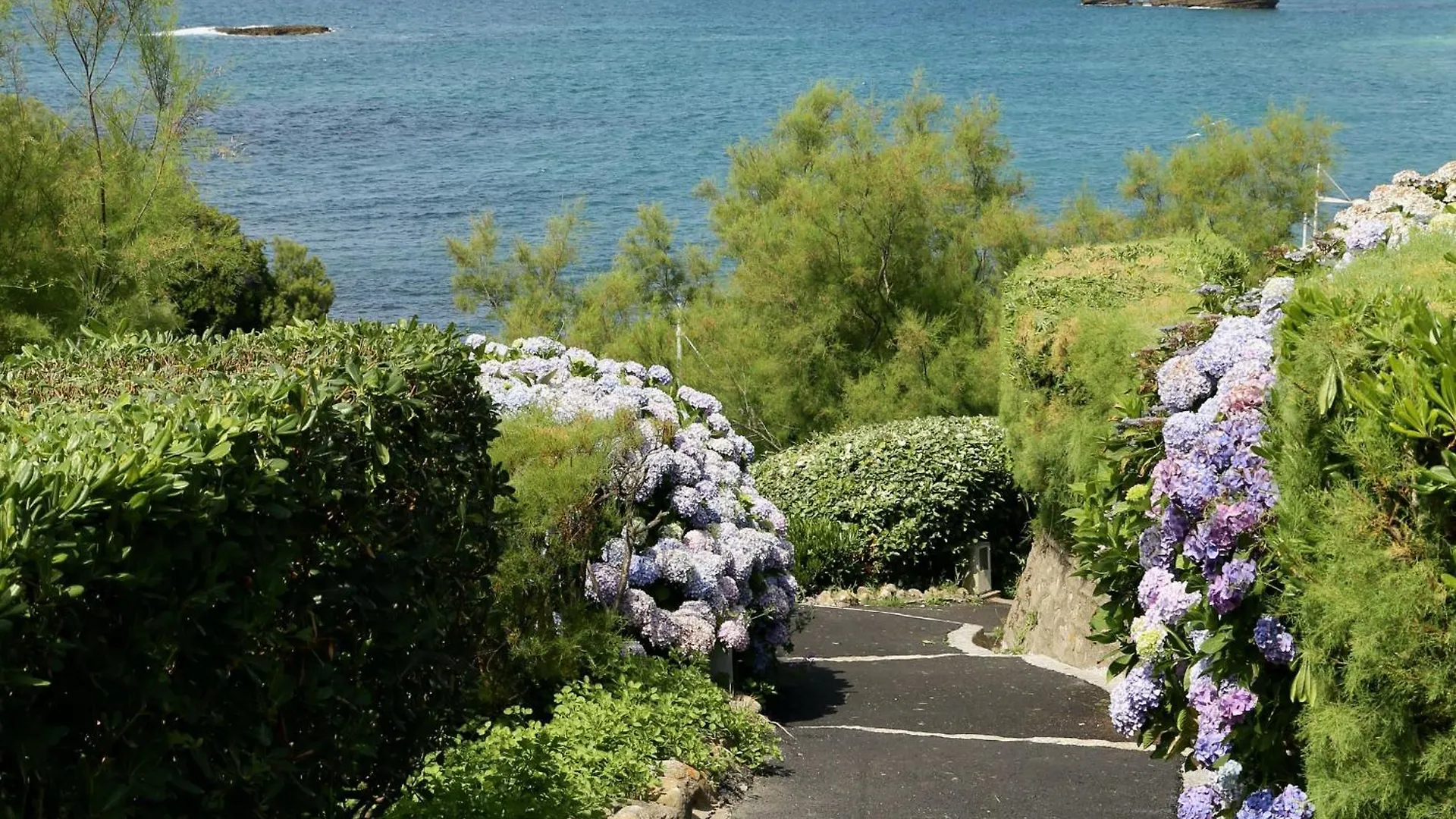Appartement Spacieux Et Renove Au Coeur De Biarritz, A Deux Pas De La Plage Et Des Commerces - Fr-1-239-802